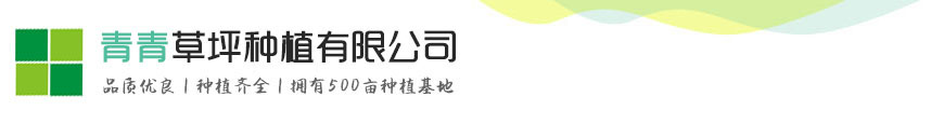 尊龙人生就是博!ag旗舰厅登录